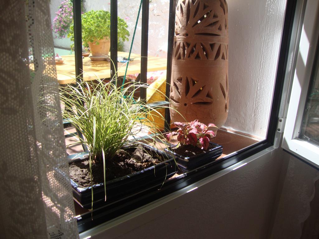 Casa Bambu Appartamento Granada Esterno foto
